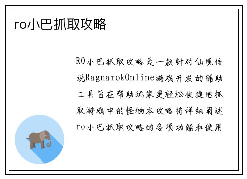 ro小巴抓取攻略